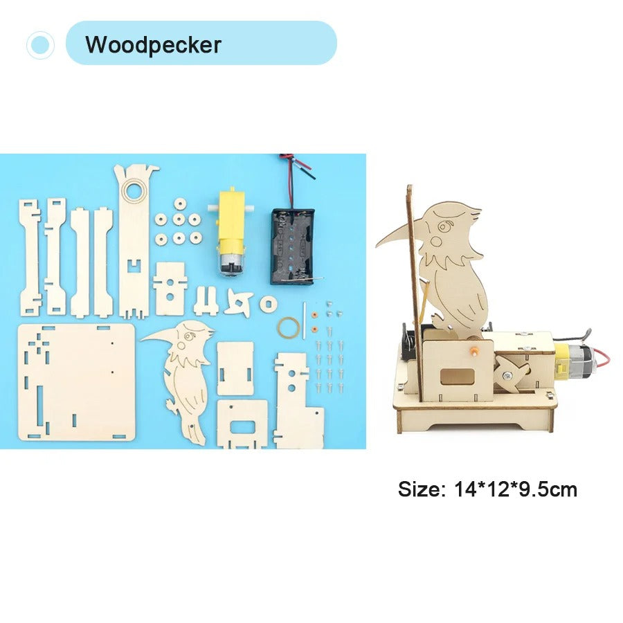 Kits Educativos DIY